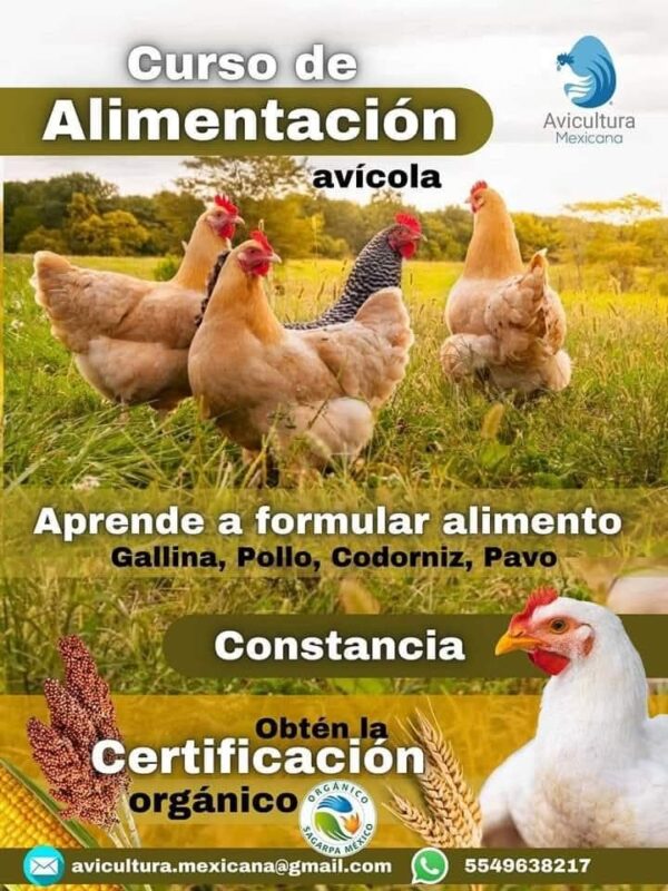 Curso de Alimentación avícola