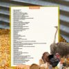 Curso de Alimentación avícola - Image 2