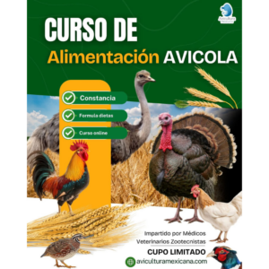 Curso de Alimentación avícola