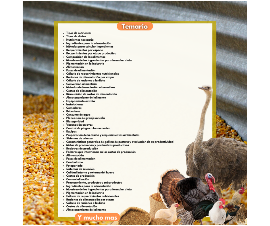 Curso de Alimentación avícola - Image 2