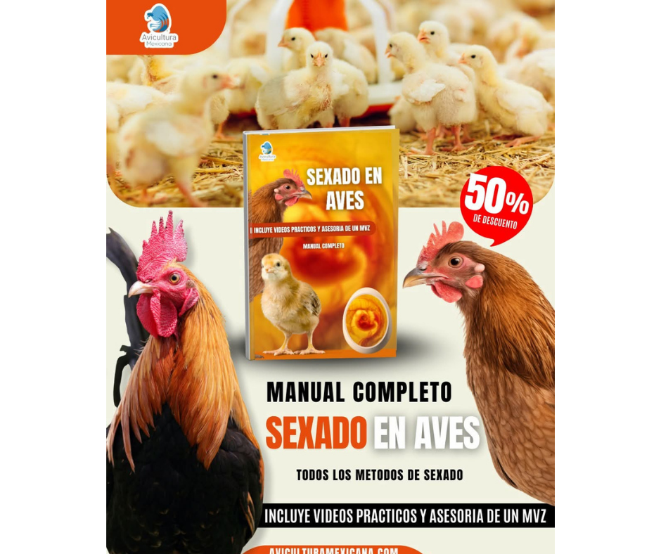 Curso de sexado avícola
