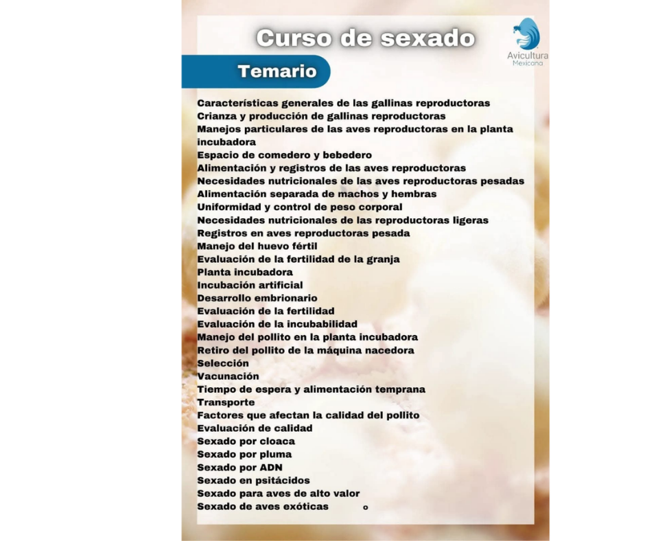 Curso de sexado avícola - Image 2