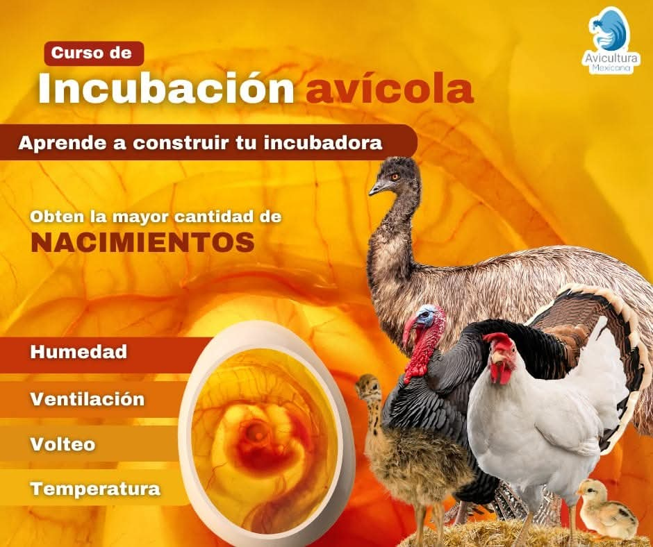 Curso de Incubación Avícola