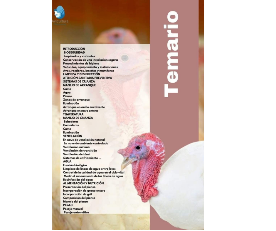 Curso de crianza de pavo - Image 2
