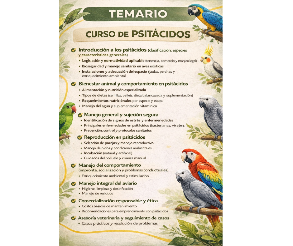 Curso de Psitacidos - Image 2
