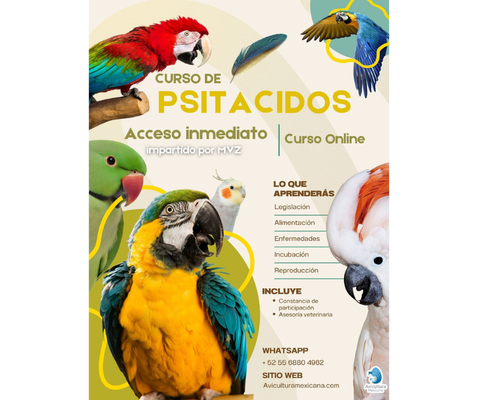 Curso de Psitacidos