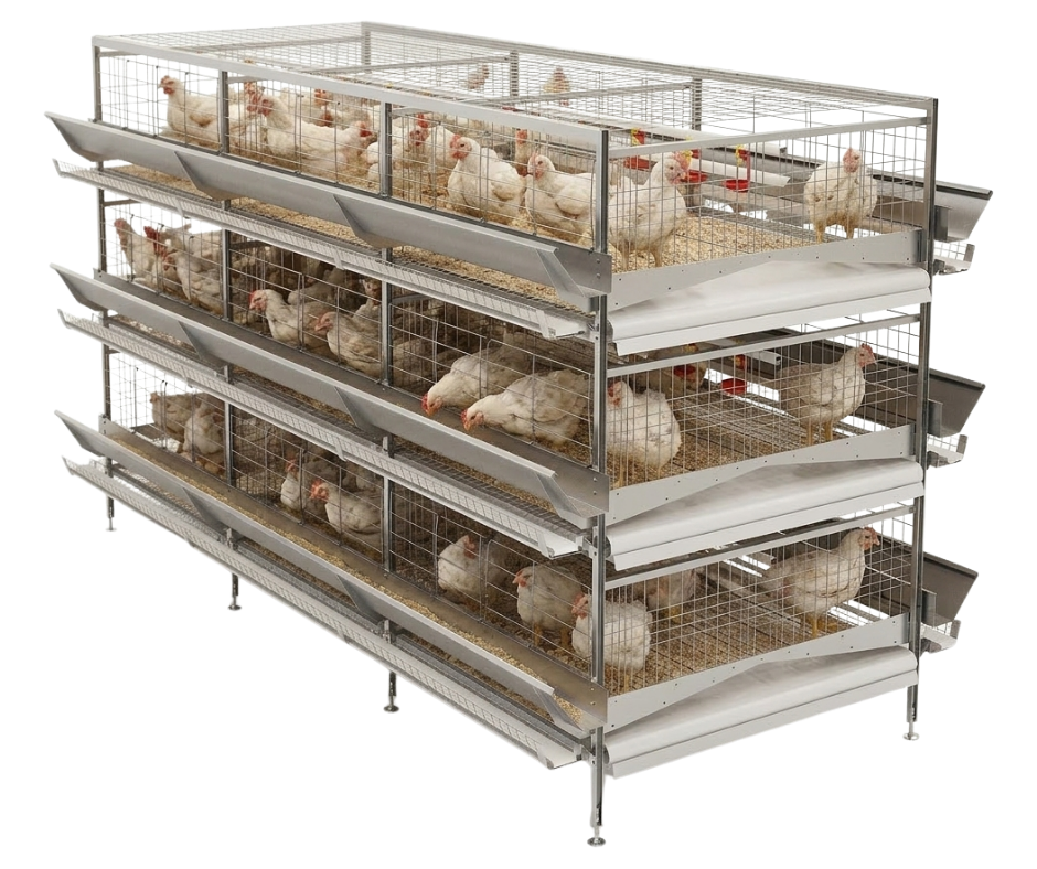 Jaulas para pollos