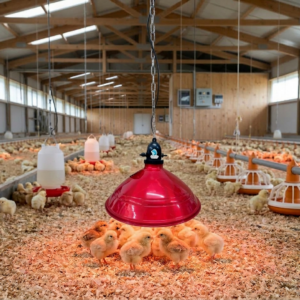 Campana eléctrica